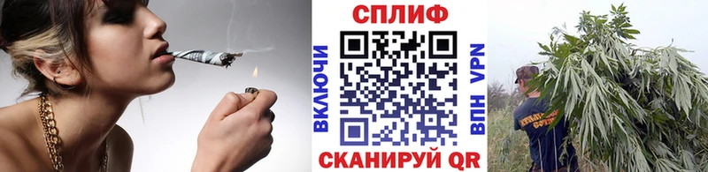 Марихуана индика  Кизилюрт 